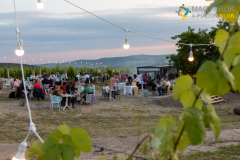 20250614_MAPI_Tallya-868