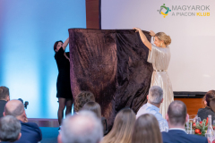 20251205_MAPI_evzaro_marriott-1513